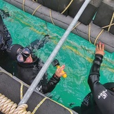 Cape Shark Adventures - Xplorio™ Gansbaai 