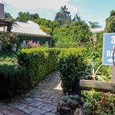 Garden - 35 On Basil - Xplorio™ Caledon