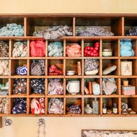 Rack - 35 On Basil - Xplorio™ Caledon