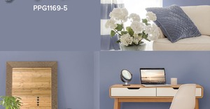 Violet Verbena Colour