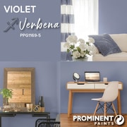 Violet Verbena Colour