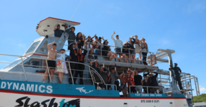 Daily Blog: 22 November 2022 | Shark Cage Diving in South Africa