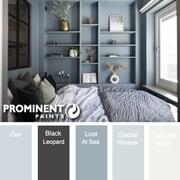 Prominent Paints: Blue Greys Paint Colours