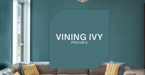 Vining Ivy, PPG 2023 Color of the Year
