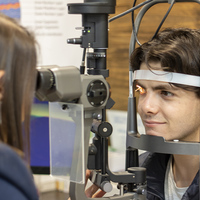 Diagnostic Eye Care - Greyton Optometrists - Xplorio™ Greyton