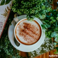 Fynbos Shoppe and Coffee Shoppe