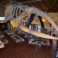 Great White House Restaurant