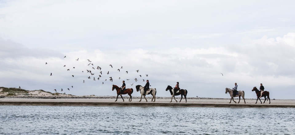 Outdoor adventures with a twist. 