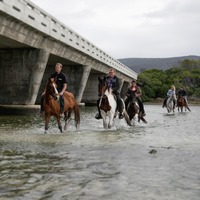 Horse Riding Gansbaai